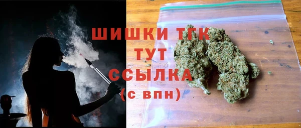 прущая мука Корсаков