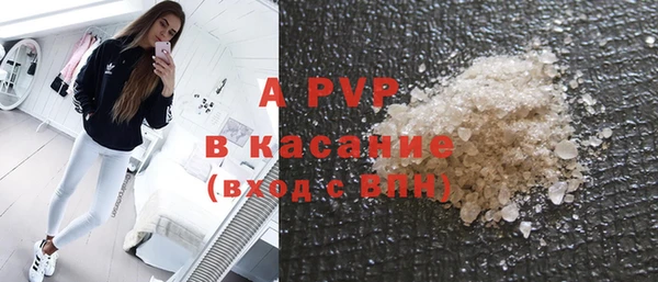 прущая мука Корсаков