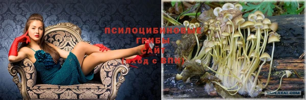 синтетический гашиш Краснослободск