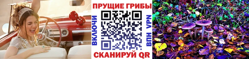 Псилоцибиновые грибы GOLDEN TEACHER  Михайловка 
